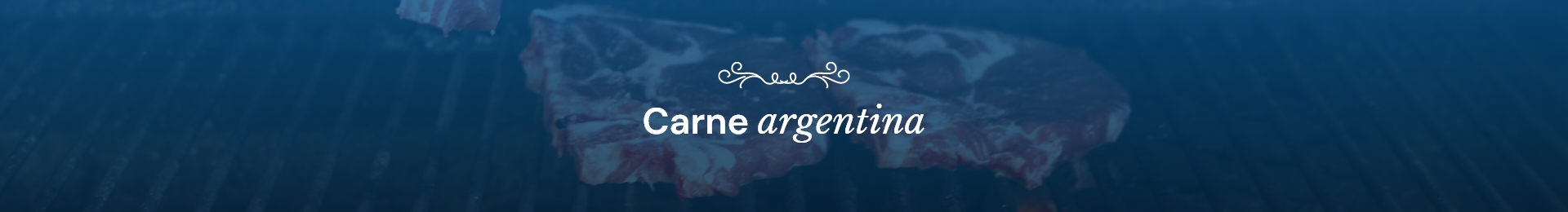 Banner de categoría