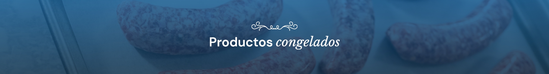 Banner de categoría